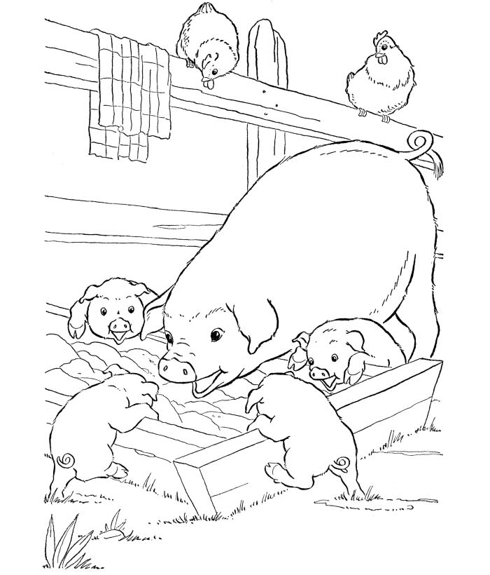 700x820 Animal Template