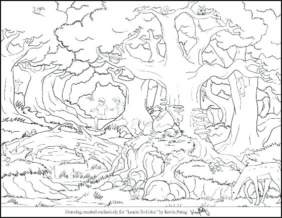 Animal Habitat Coloring Pages Ocean Habitat Coloring Pages Animal 564x437 Animal Habitat Coloring Pages Ocean Habitat Coloring Pages Animal