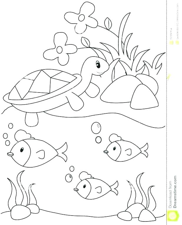Animal Habitat Coloring Pages Pond Coloring Page Pond Coloring 618x764 Animal Habitat Coloring Pages Pond Coloring Page Pond Coloring