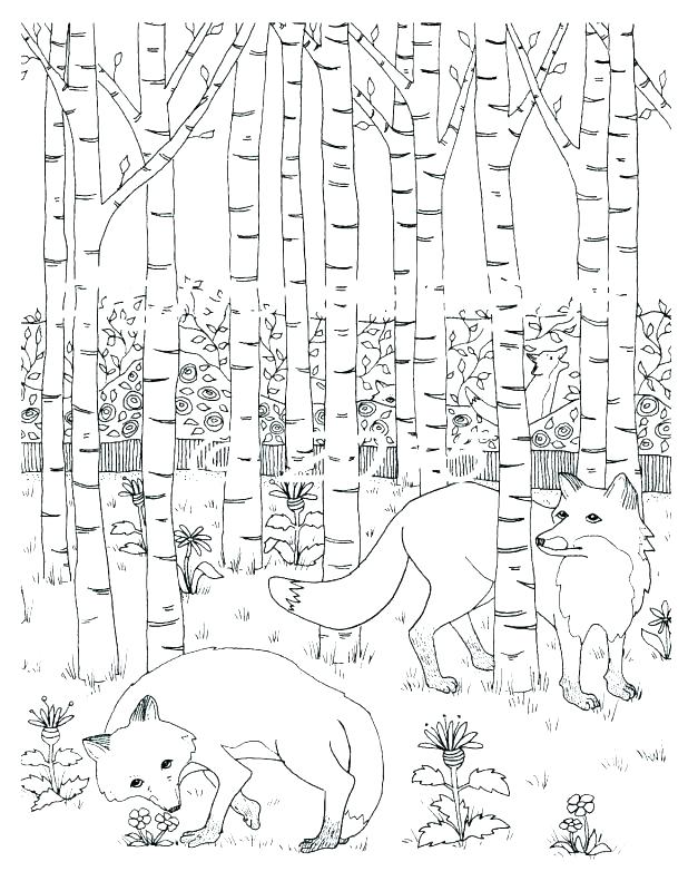 Free Animal Habitat Coloring Sheets Pages Rain Forest Zoom 618x800 Free Animal Habitat Coloring Sheets Pages Rain Forest Zoom
