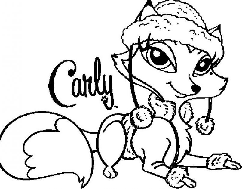 805x628 Dog And Cat Coloring Pages