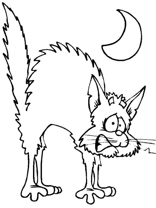 600x799 Scary Cat Coloring Pages Scary Cat Color Page Free Printable