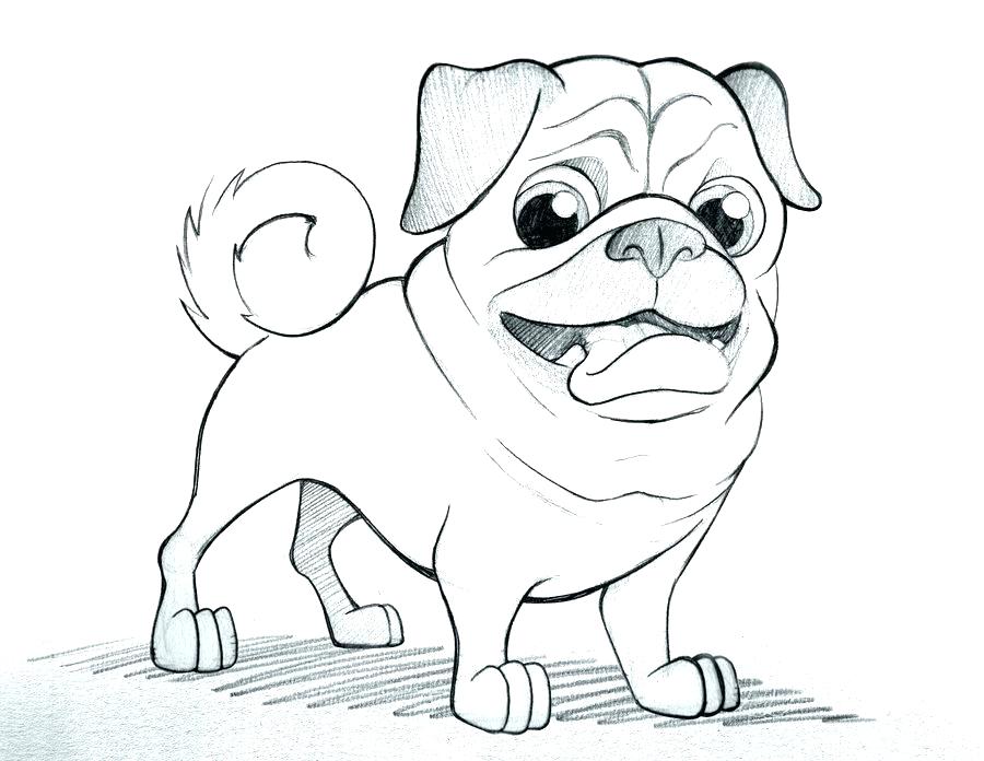 900x696 Pug Coloring Page