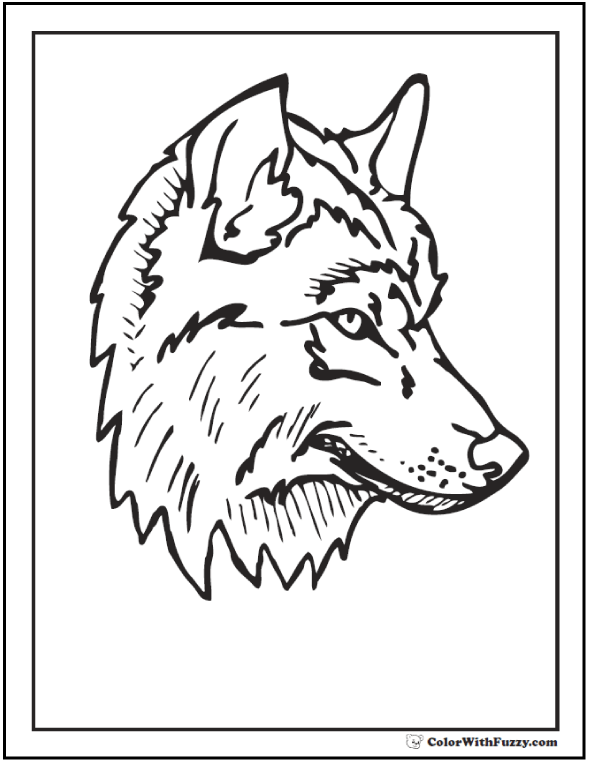 Wolf Coloring Pages Print And Customize 590x762 Wolf Coloring Pages Print And Customize