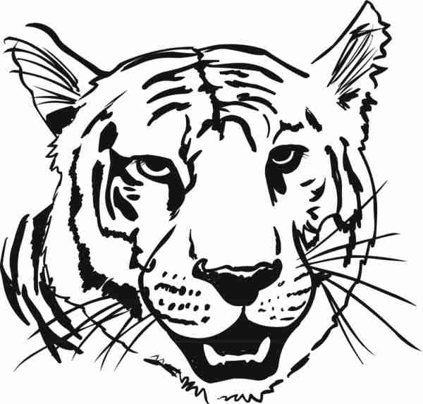 Tiger Face Coloring Pages Coloring Animal Heads Tiger Head 600x573 Tiger Face Coloring Pages Coloring Animal Heads Tiger Head