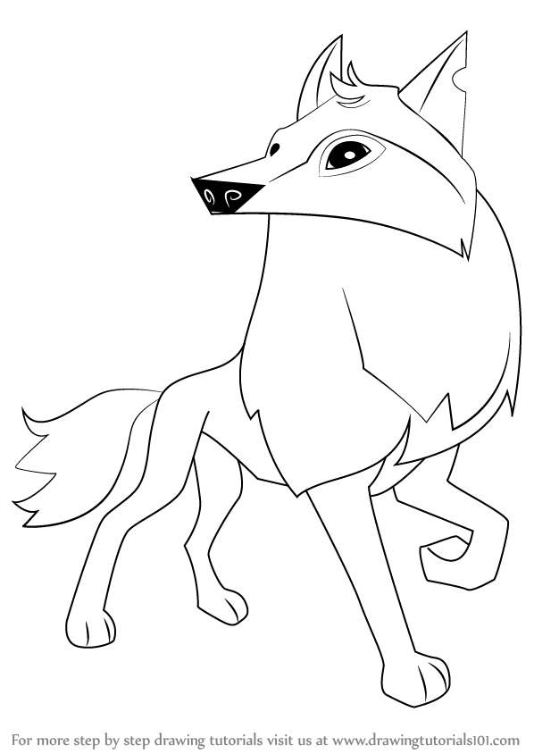 Learn How To Draw Arctic Wolf From Animal Jam (Animal Jam) Step By 598x844 Learn How To Draw Arctic Wolf From Animal Jam (Animal Jam) Step By