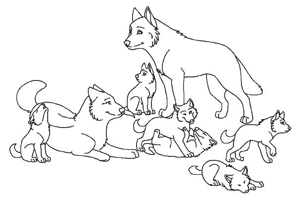 Wolf Color Page Babies Wolf Coloring Page Animal Jam Coloring 600x415 Wolf Color Page Babies Wolf Coloring Page Animal Jam Coloring