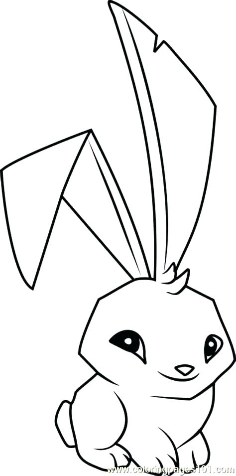 Animal Jam Coloring Pages Printable Fresh Ideas Animal Jam 474x955 Animal Jam Coloring Pages Printable Fresh Ideas Animal Jam
