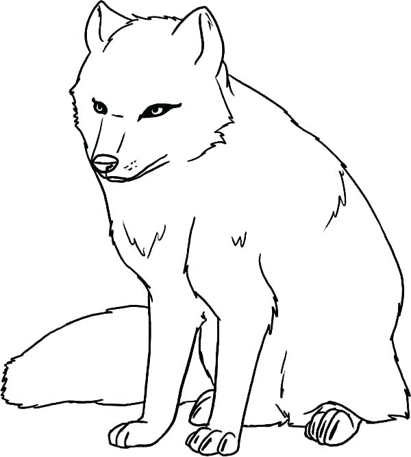 Arctic Animal Coloring Pages Polar Animal Coloring Pages 600x667 Arctic Animal Coloring Pages Polar Animal Coloring Pages