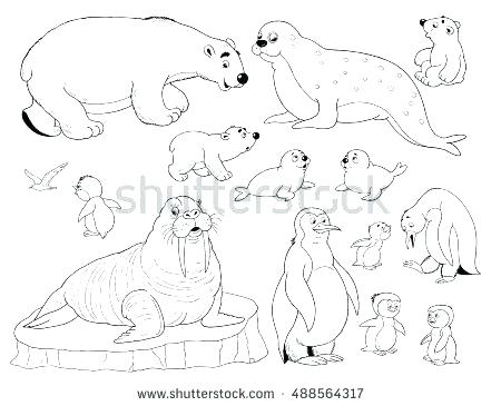 Arctic Fox Coloring Page Fox Coloring Pages For Kids Animal Jam 450x365 Arctic Fox Coloring Page Fox Coloring Pages For Kids Animal Jam