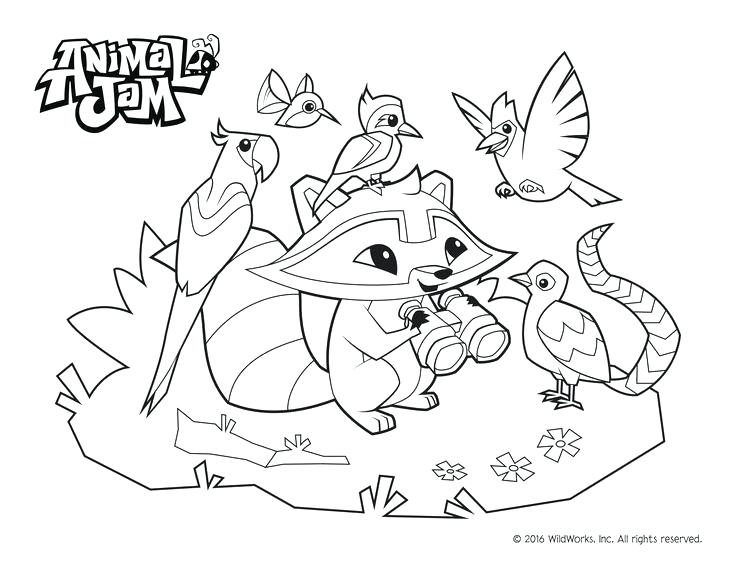 Animal Jam Coloring Pages Pets 736x568 Animal Jam Coloring Pages Pets