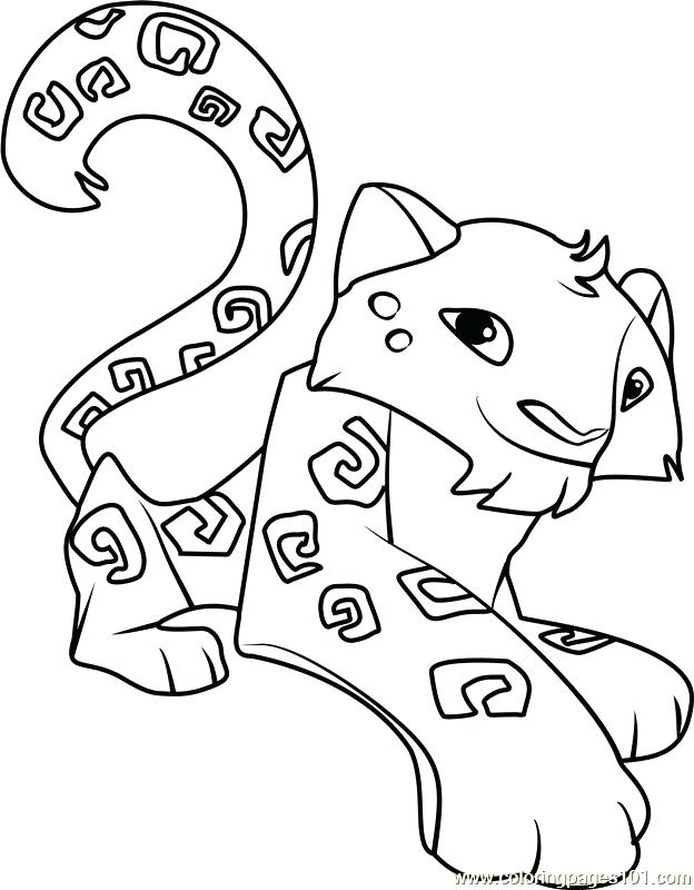 624x800 Animal Jam Pictures To Color Image Result For Animal Jam Coloring