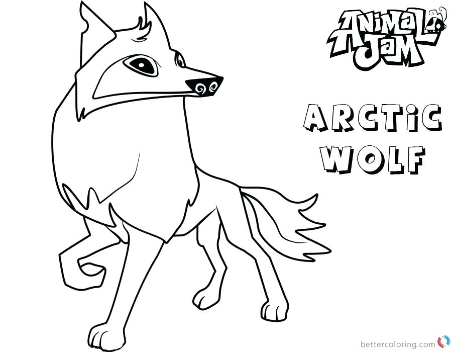 900x700 Arctic Coloring Pages Coloring Pages Fox Plus Fox Coloring Page