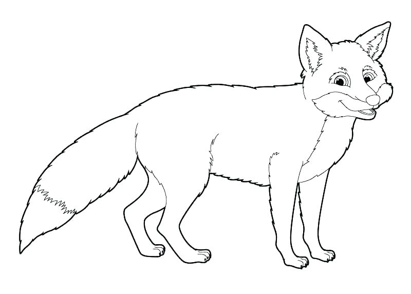 Arctic Coloring Pages Arctic Fox Coloring Page Arctic Fox 1 Animal 800x572 Arctic Coloring Pages Arctic Fox Coloring Page Arctic Fox 1 Animal