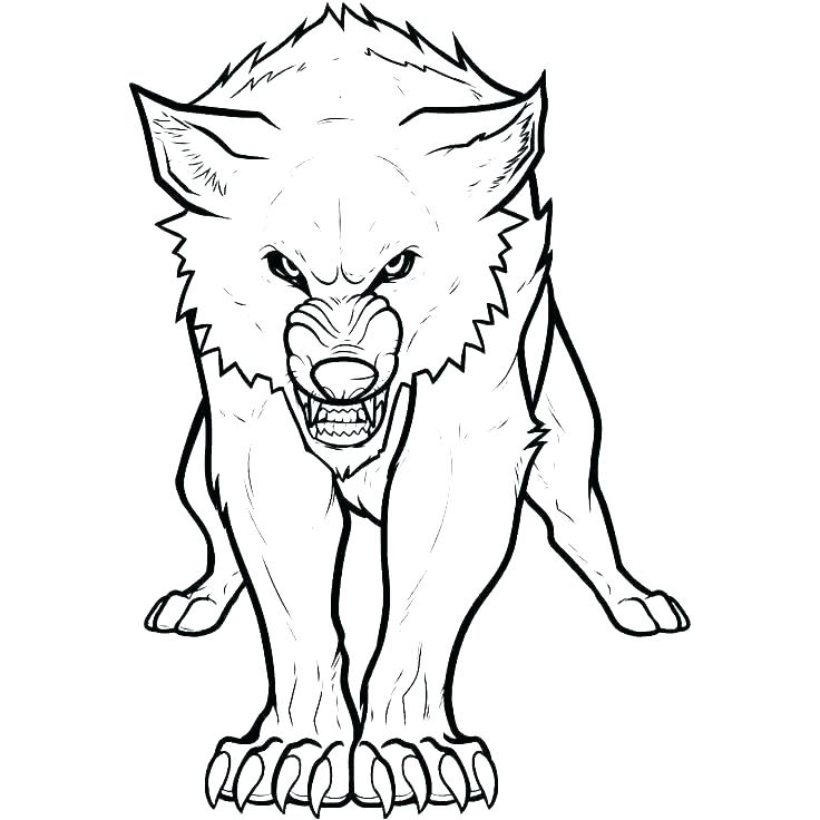 736x736 Arctic Fox Coloring Page Arctic Coloring Pages Coloring Pictures