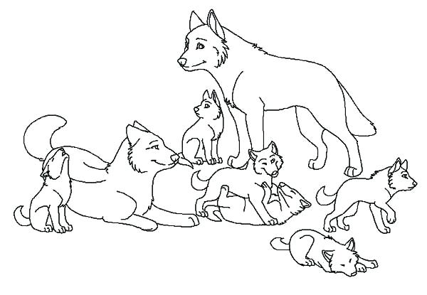 600x415 Coloring Pages Wolf Wolf Coloring Pages Arctic Wolf Coloring Page