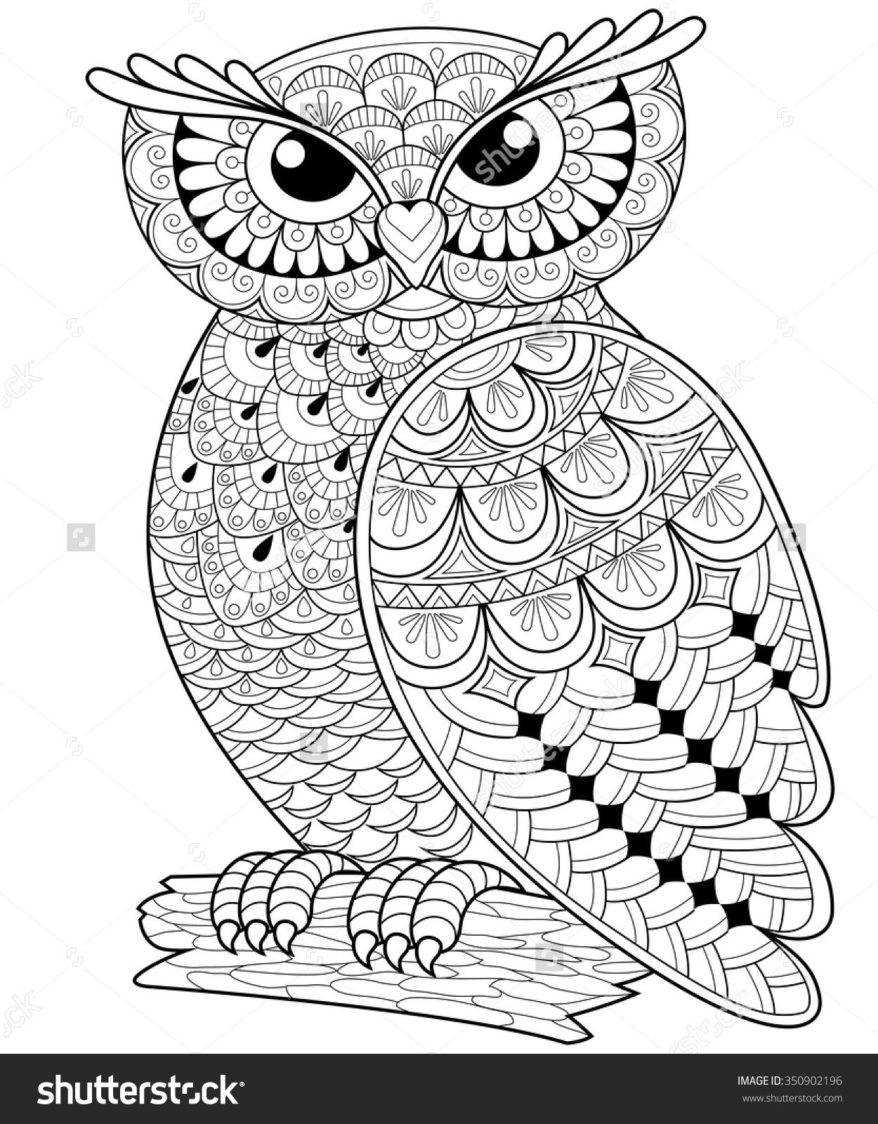 Animal Kingdom Coloring Pages Owls Printable Best Image To Color 1250x1600 Animal Kingdom Coloring Pages Owls Printable Best Image To Color
