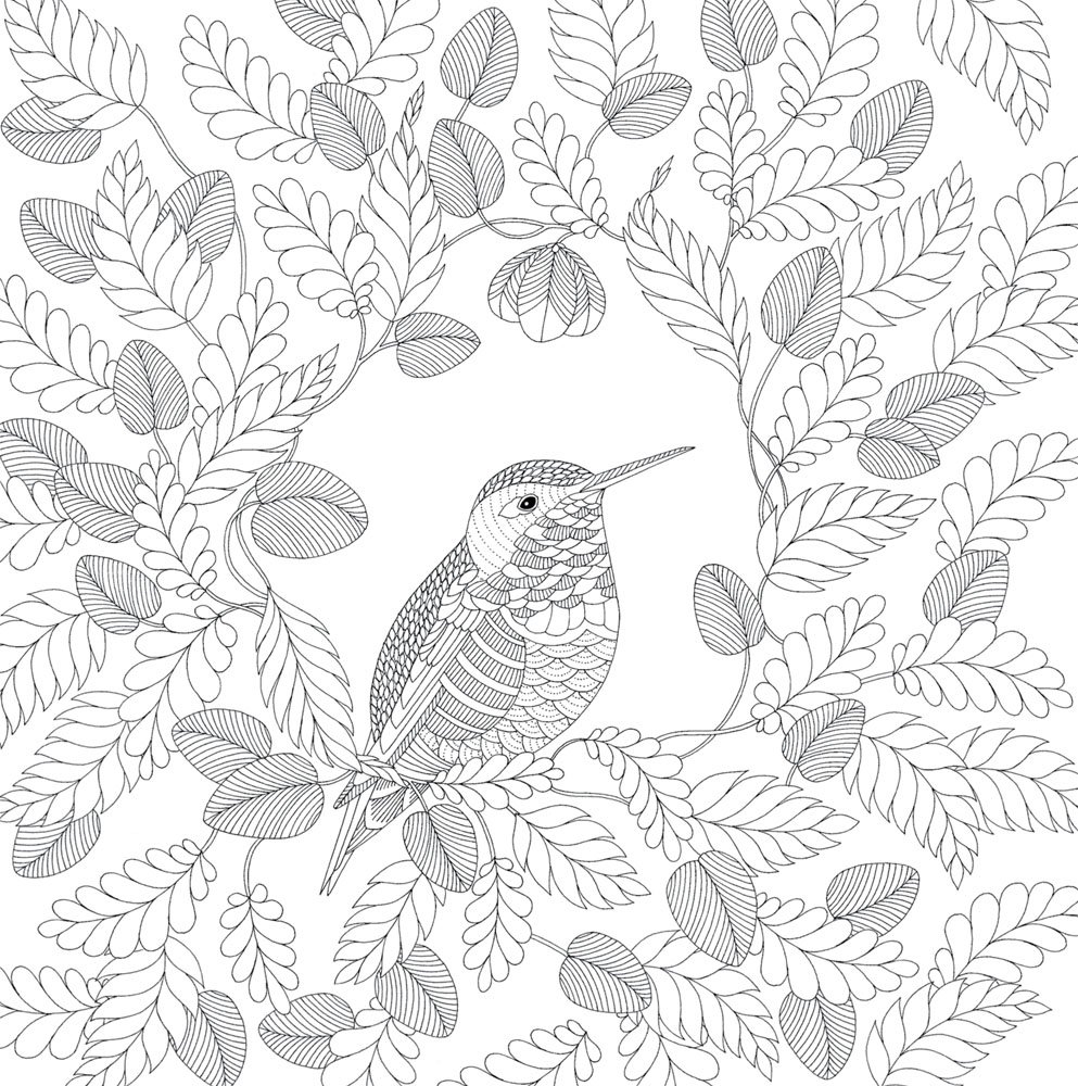 Millie Marotta's Animal Kingdom, A Colouring Book Adventure 993x1000 Millie Marotta's Animal Kingdom, A Colouring Book Adventure