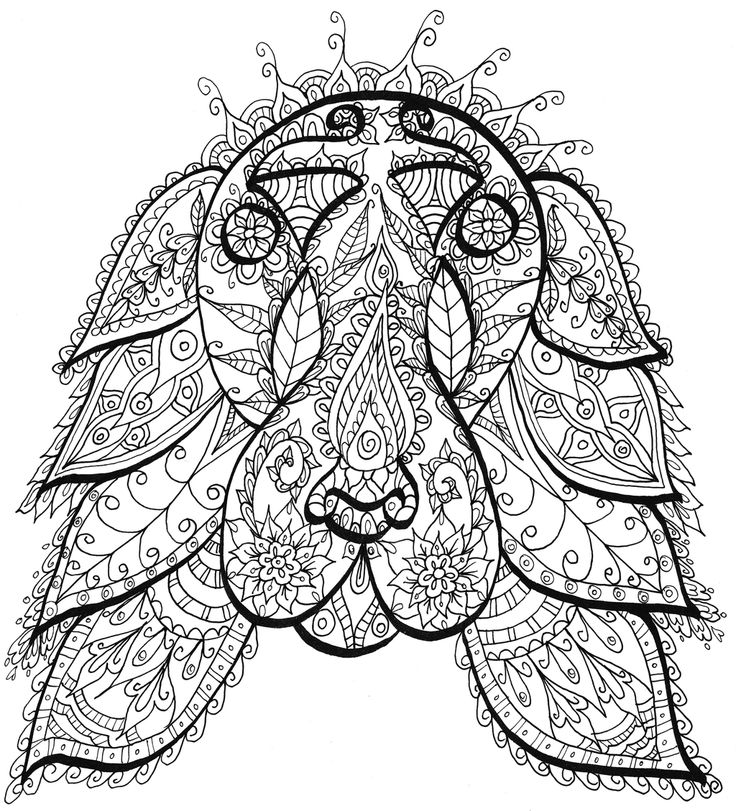 Pin By Jennifer Clark On Drawing Mandalas 736x811 Pin By Jennifer Clark On Drawing Mandalas