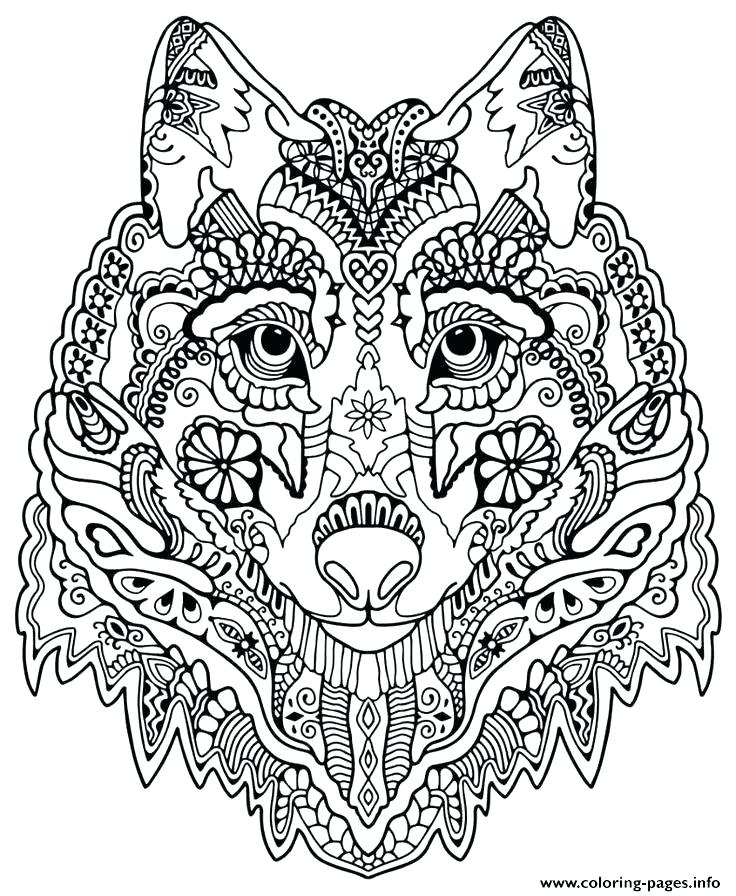 Animal Mandala Coloring Book 736x896 Animal Mandala Coloring Book