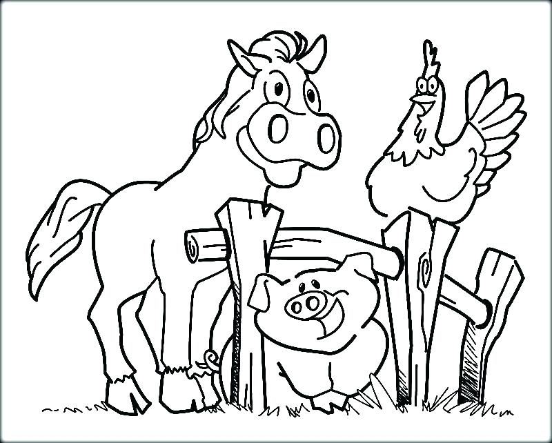 Animal Coloring Pages For Preschoolers Zoo Coloring Pages To Print 800x642 Animal Coloring Pages For Preschoolers Zoo Coloring Pages To Print