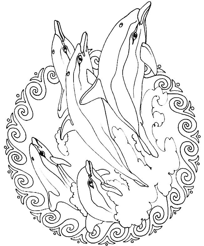 652x786 Coloring Pages Mandala Animals