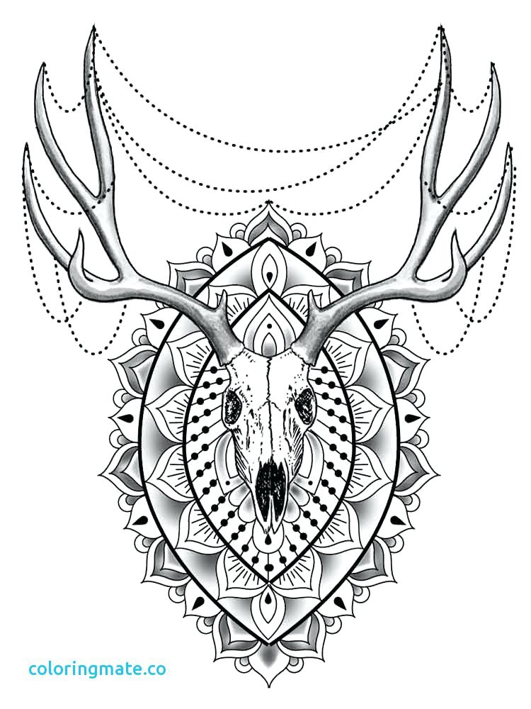 750x1000 Animal Mandala Coloring Pages