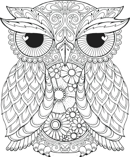 535x645 Free Printable Coloring Book Pages For Adults Or Owl Animal Tier S