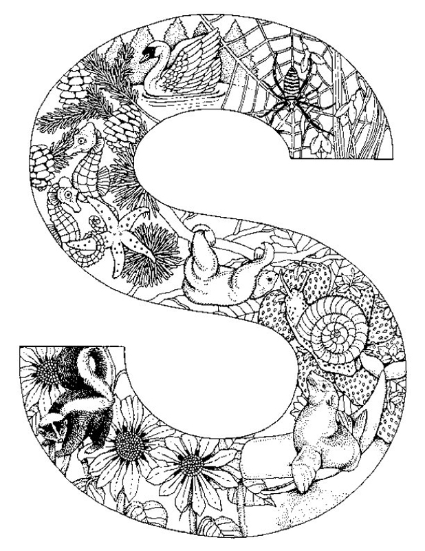 618x800 Amazing Design Ideas Animal Mandala Coloring Pages Animal Mandalas