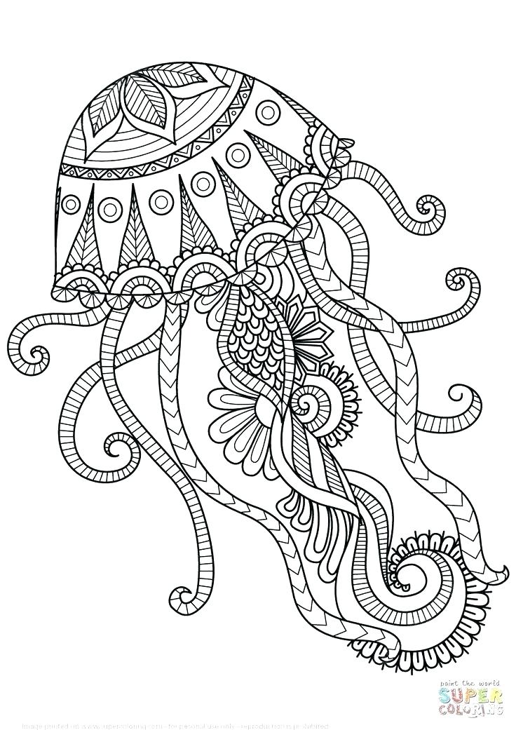 736x1041 Animal Mandala Coloring Book Together With Coloring Pages