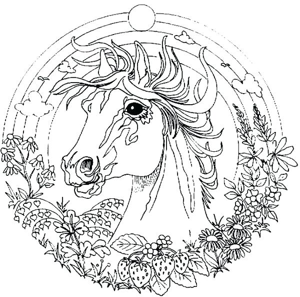 Mandala Coloring Pages Amazing Animal Horse Mandala Coloring Pages 600x593 Mandala Coloring Pages Amazing Animal Horse Mandala Coloring Pages