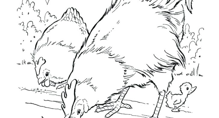 728x393 Farm Animals In Coloring Pages Free Printable Farm Animal Farm