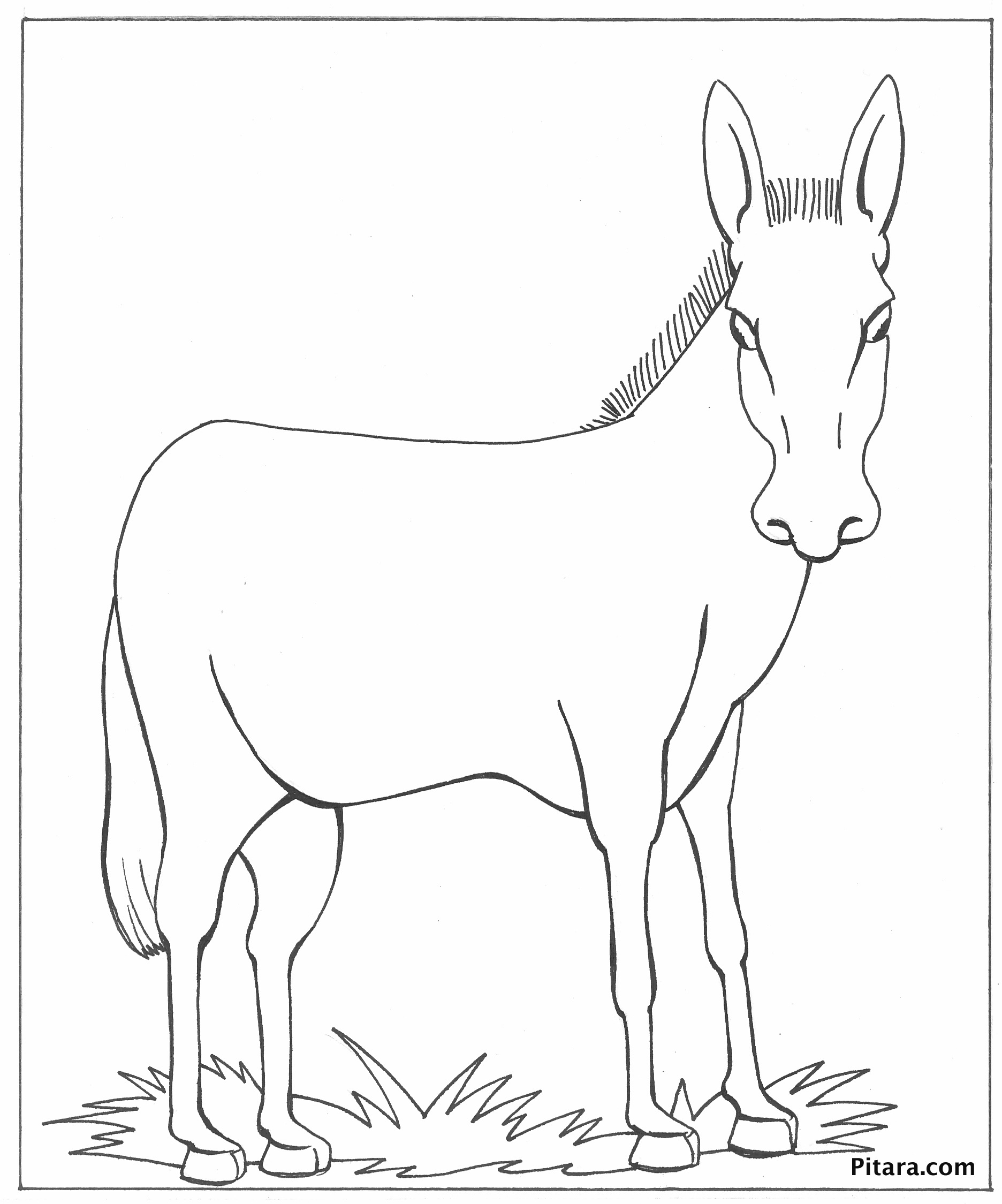 1872x2249 Domestic Animals Coloring Pages Pitara Kids Network