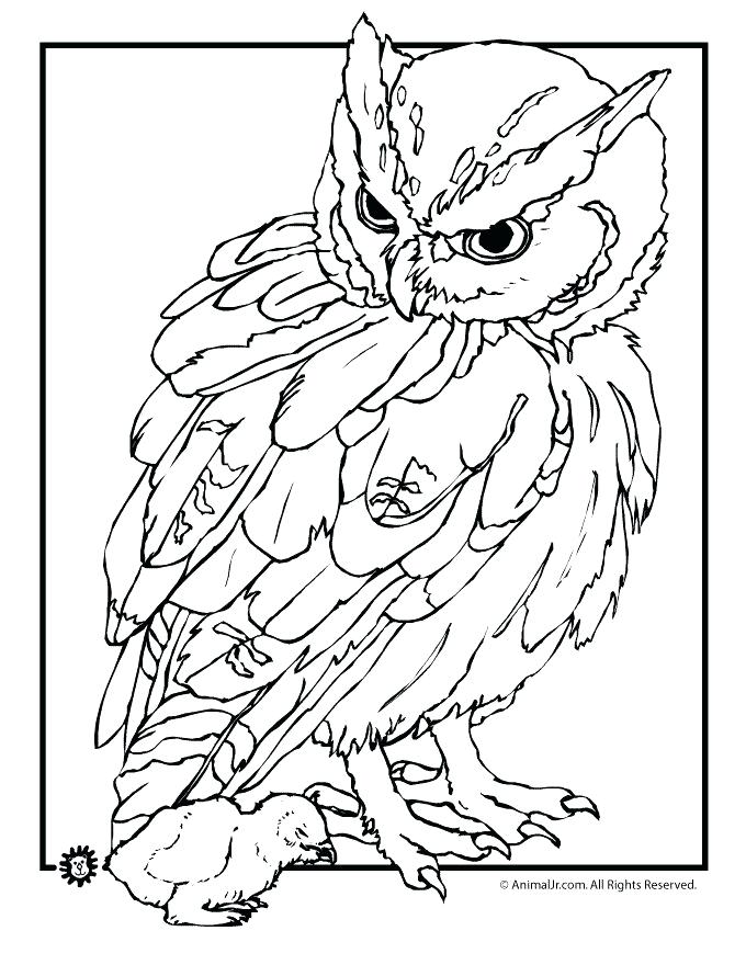 680x880 Realistic Coloring Pages Of Animals Page Realistic Animal Outlines