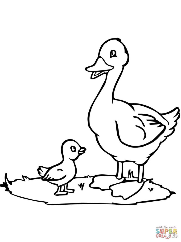 Mama Duck And Duckling Pattern Coloring Page 768x1024 Mama Duck And Duckling Pattern Coloring Page