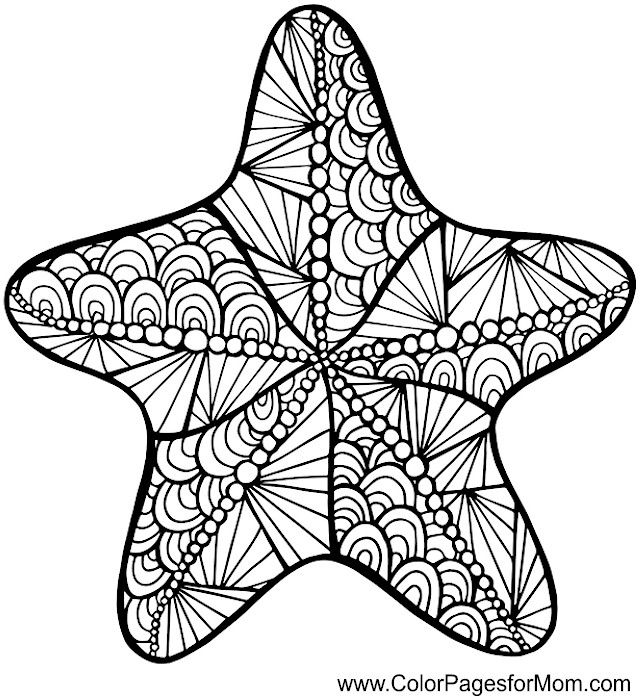 Starfish Zentangle Colouring Page ~ Adult Colouring 640x696 Starfish Zentangle Colouring Page ~ Adult Colouring