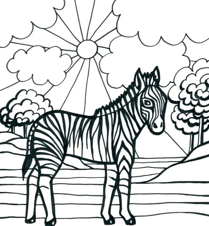 Zebra Print Coloring Pages Kids Coloring Zebra Color Sheet Zebra 700x756 Zebra Print Coloring Pages Kids Coloring Zebra Color Sheet Zebra