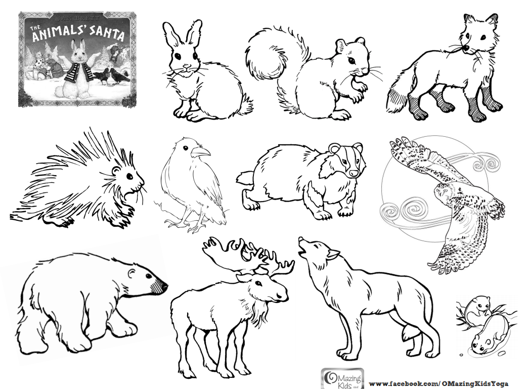 1036x768 Enchanted Forest An Inky Quest Coloring Printable Pages Free Adult