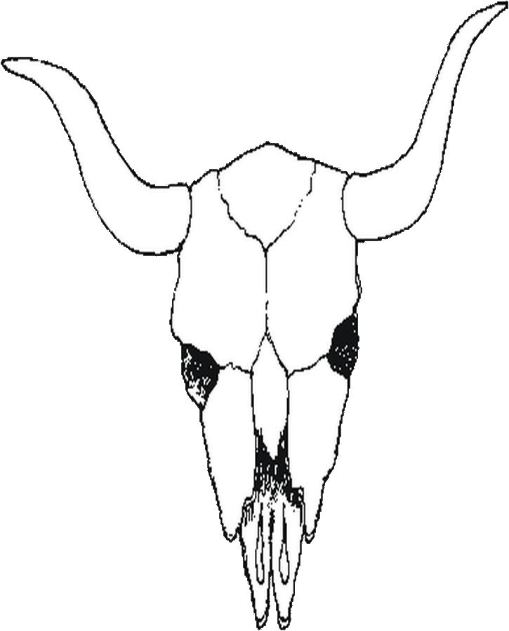 725x900 Skull Coloring Page