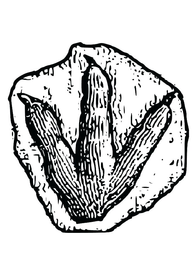 Footprint Coloring Page Foot Coloring Page Foot Coloring Page 620x875 Footprint Coloring Page Foot Coloring Page Foot Coloring Page