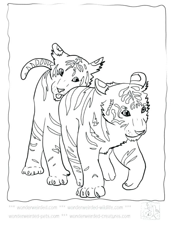 Footprint Coloring Page Footprint Coloring Page Animal Footprint 612x792 Footprint Coloring Page Footprint Coloring Page Animal Footprint