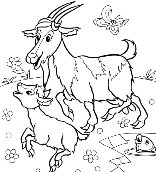 Coloring Pages Of Animals And Their Babies Baby Animal Match 536x591 Coloring Pages Of Animals And Their Babies Baby Animal Match