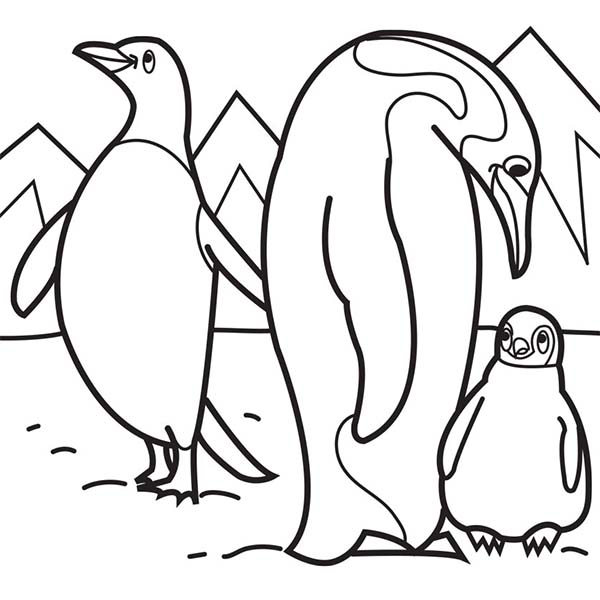 Arctic Animals Coloring Pages Advanced Coloring Pages,difficult 600x600 Arctic Animals Coloring Pages Advanced Coloring Pages,difficult