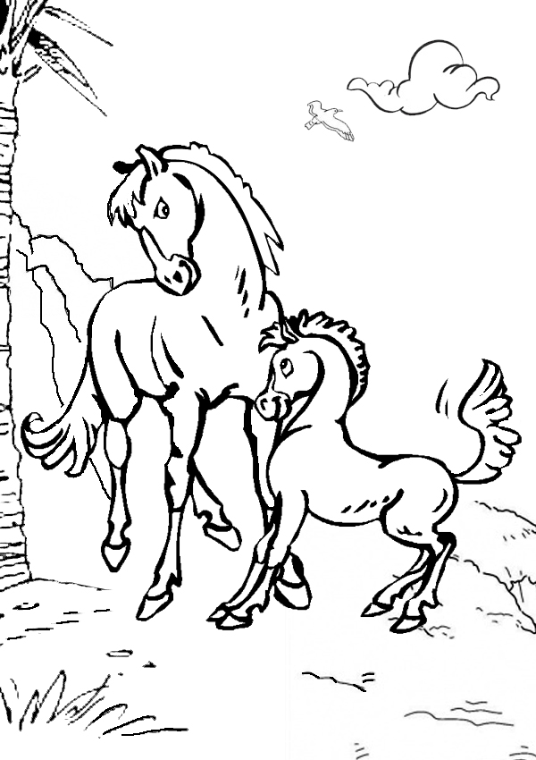 Baby Horse Coloring Pages To Print 600x850 Baby Horse Coloring Pages To Print