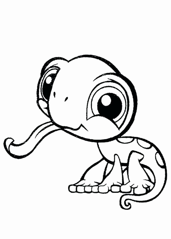 Cute Baby Animal Coloring Pages Dragoart Photograph Cute Anime 600x840 Cute Baby Animal Coloring Pages Dragoart Photograph Cute Anime
