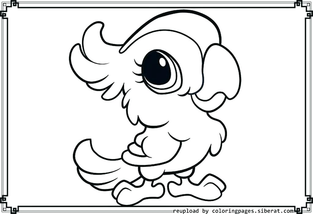 Cutest Coloring Pages Anime Animals Coloring Pages Cute Kitten 1024x700 Cutest Coloring Pages Anime Animals Coloring Pages Cute Kitten