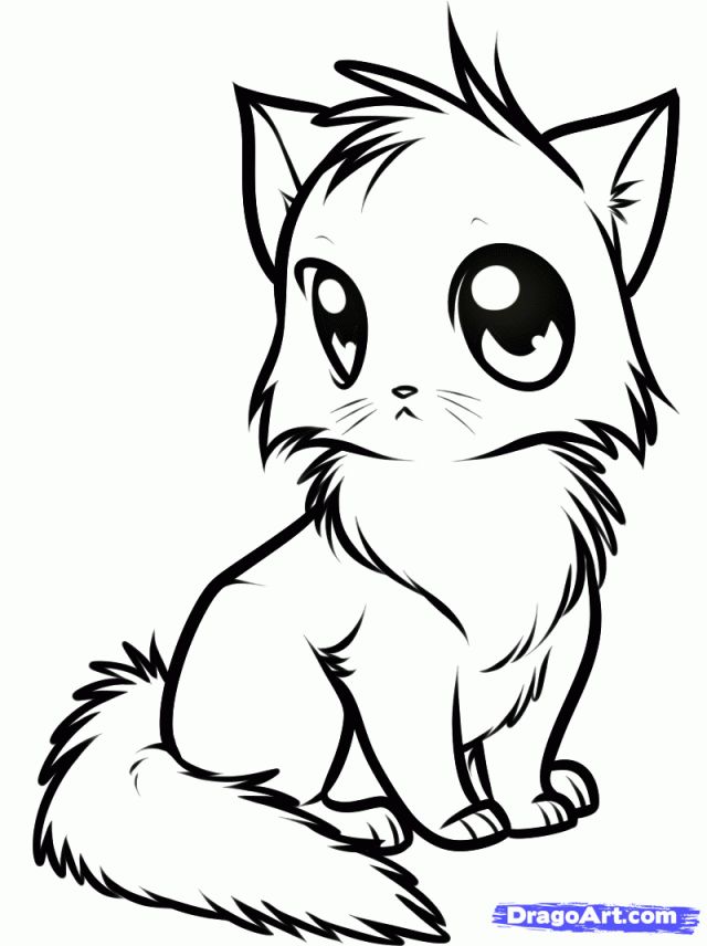 640x856 Cute Anime Cat Coloring Pages Anime Cat