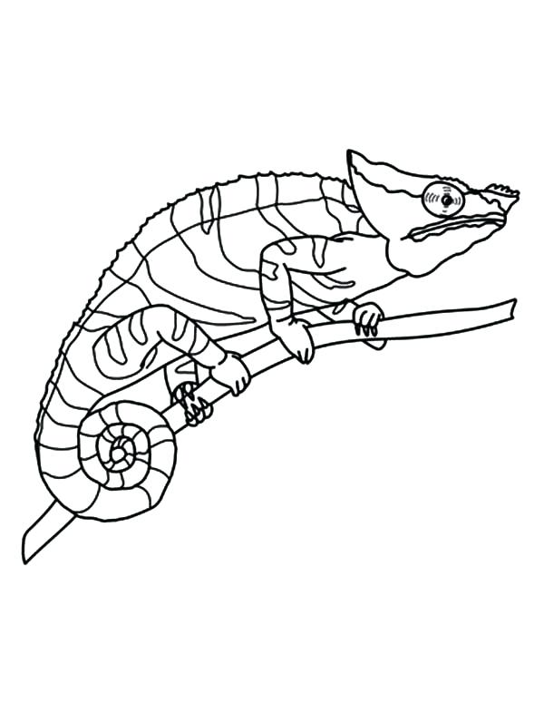 Eyes Coloring Pages Chameleon Amazing Eyes Coloring Pages Anime 600x775 Eyes Coloring Pages Chameleon Amazing Eyes Coloring Pages Anime