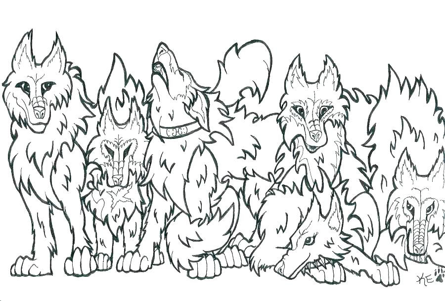 900x609 Wolf Pup Coloring Pages Coloring Pages Wolves Coloring Pages