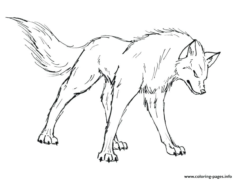 894x682 Wolf Coloring Page Luxury Wolf C Pages About Remodel Pages Free